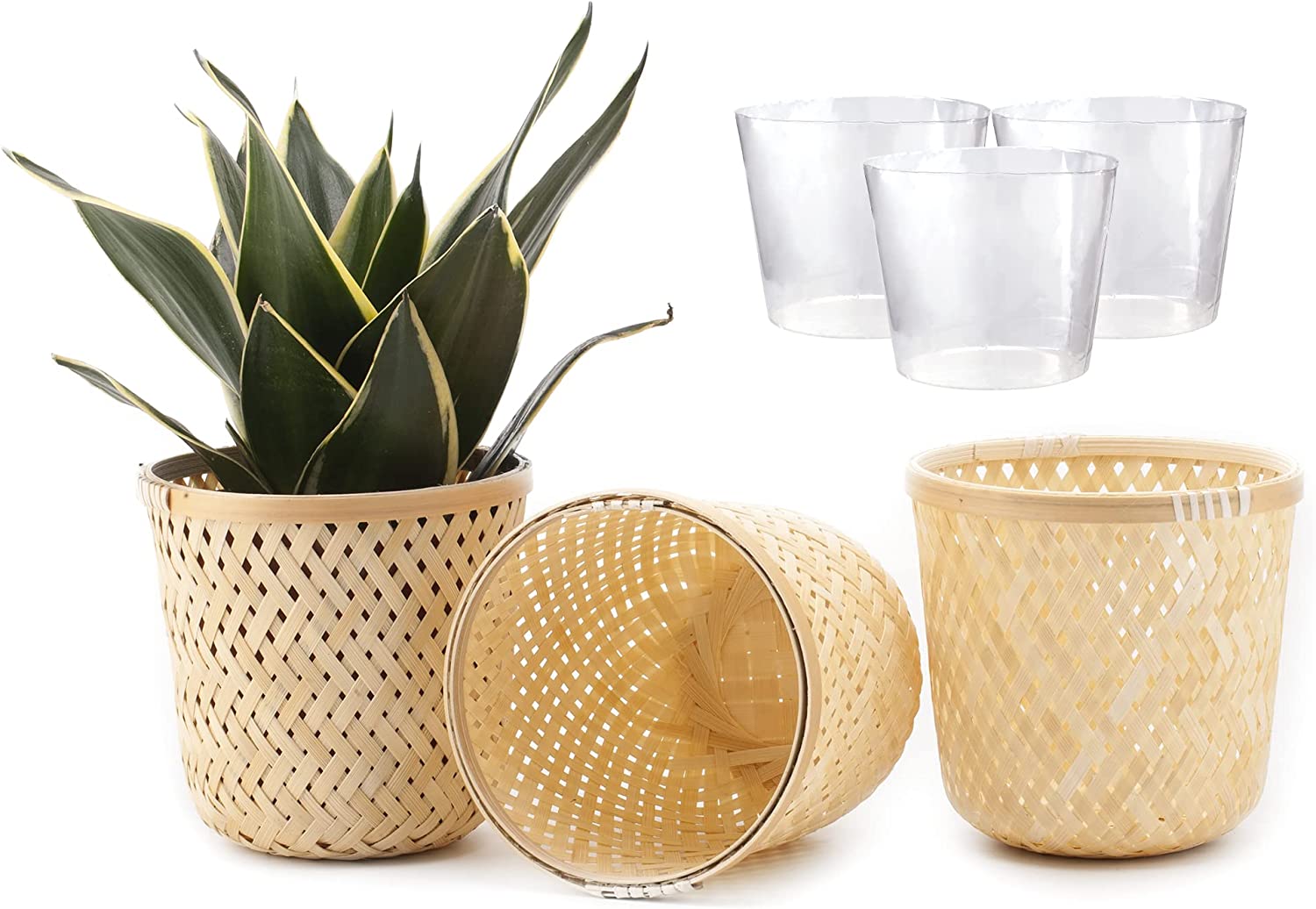 OUTDOORFURNI Set of 3 Natural Bamboo rattan wicker Plant Pot