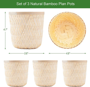 OUTDOORFURNI Set of 3 Natural Bamboo rattan wicker Plant Pot