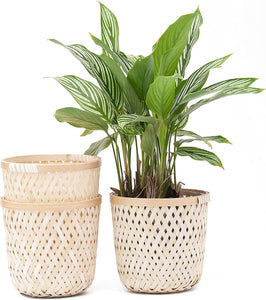 OUTDOORFURNI Set of 3 Natural Bamboo rattan wicker Plant Pot